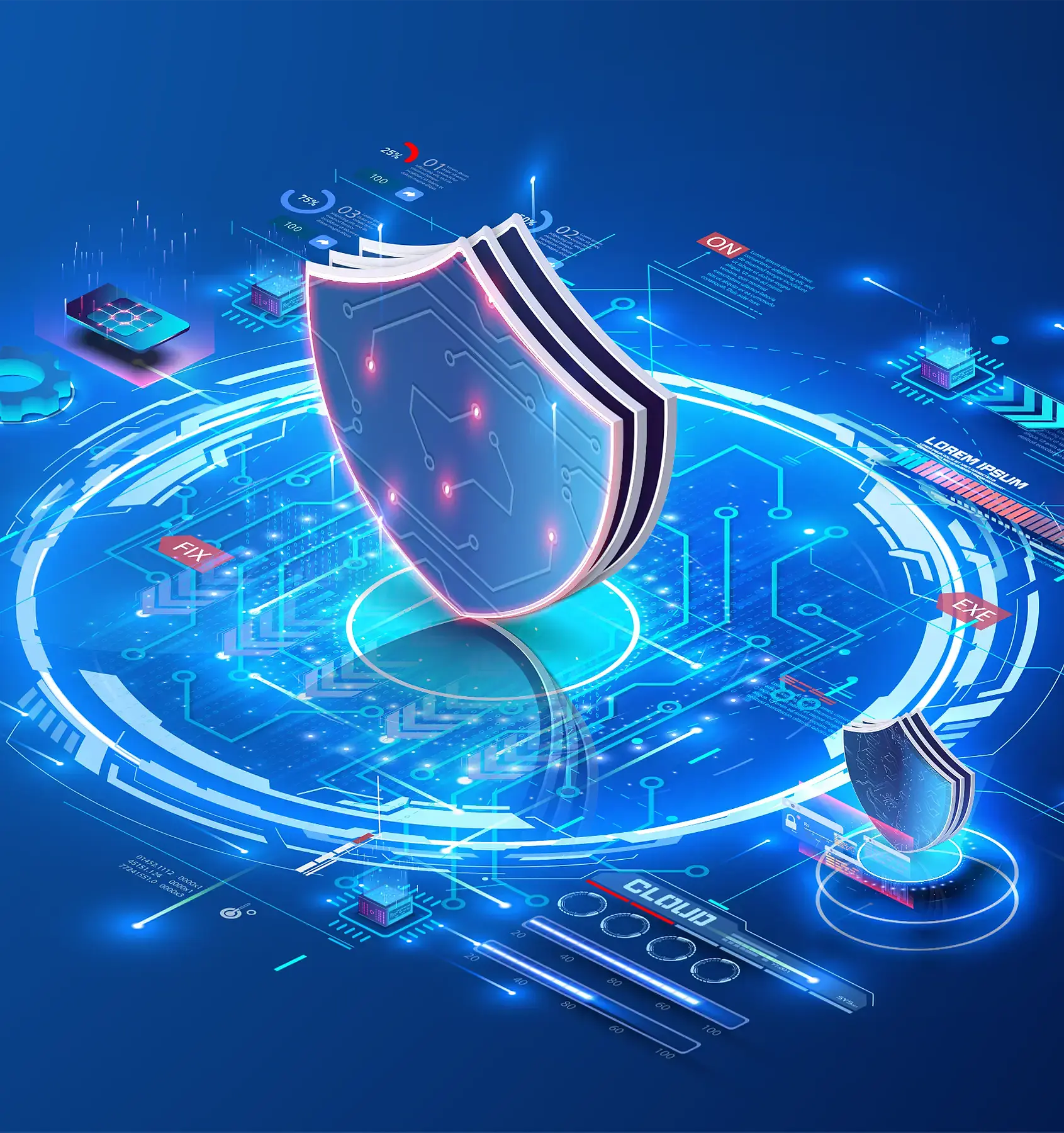 Web application security